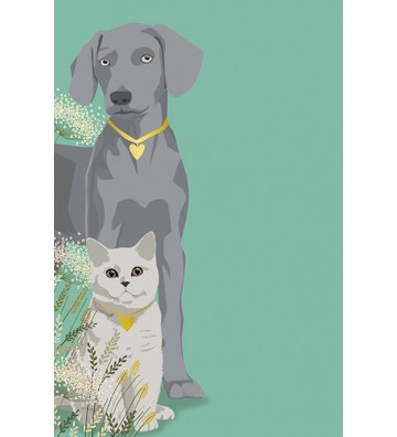 ΕΥΧΕΤΗΡΙΕΣ ΚΑΡΤΕΣ EVERY...