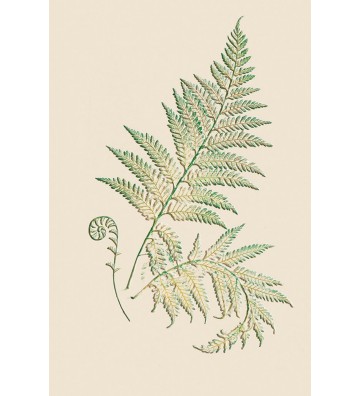 ΕΥΧΕΤΗΡΙΕΣ ΚΑΡΤΕΣ EVERY...